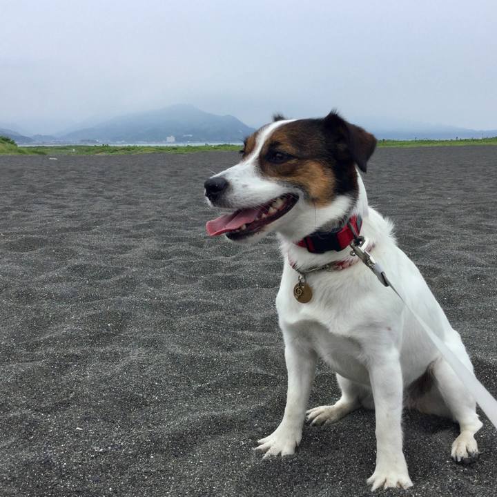 866a8e0e ffc9 4aa9 a5b3 f882a5c6fb41 1561265428344