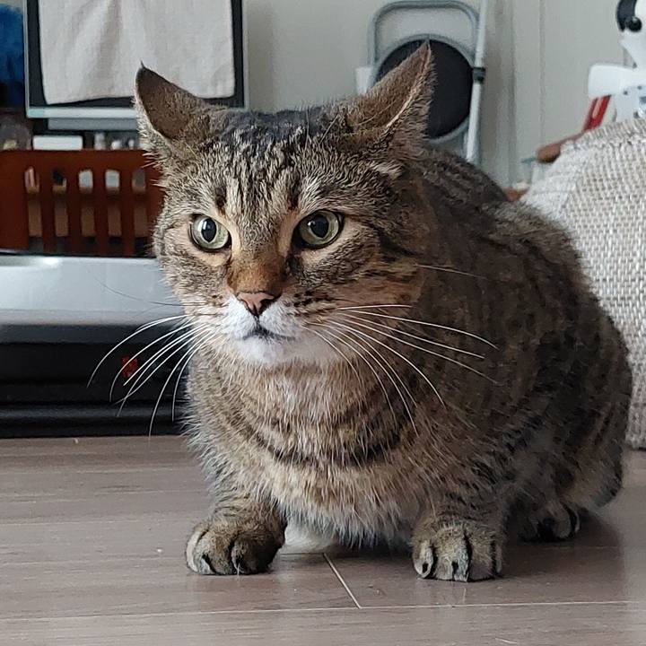 866aa00b 3d8b 4541 96a5 a8b254d3fb5f 1660637004649