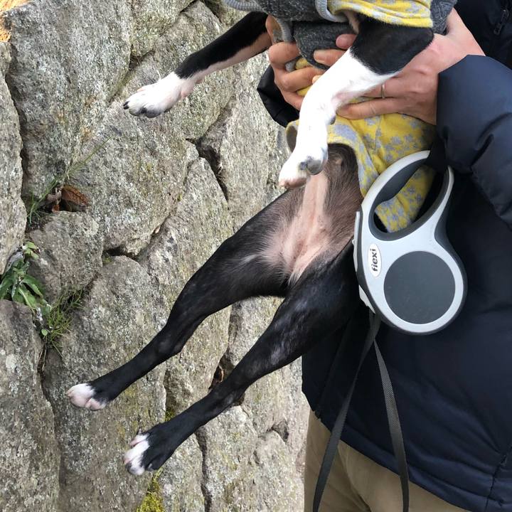 866aba7f 07ce 4d17 bab7 b30dd49a24ff 1519350635732