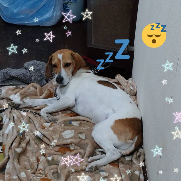 866afb7d f368 4632 9e63 35f581cac52c 1585660059974