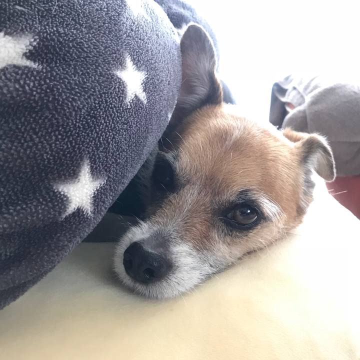 866b09f6 3764 4eaf ae20 7df147d3d9b6 1526360824989