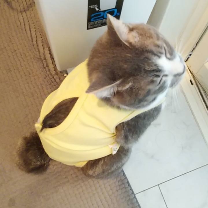 866b7384 fbe8 4d14 b596 72372b750a79 1584917708946