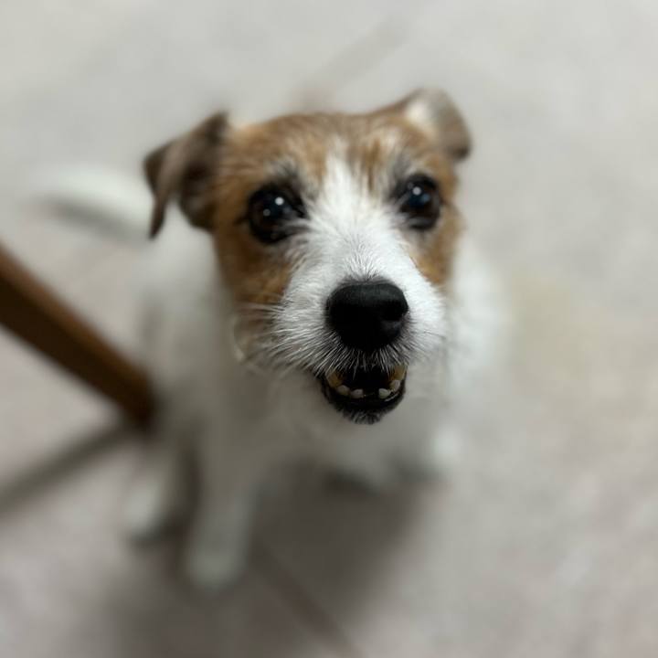 866b98a7 2e4b 4921 b3f9 7260ca6d031f 1698410692420