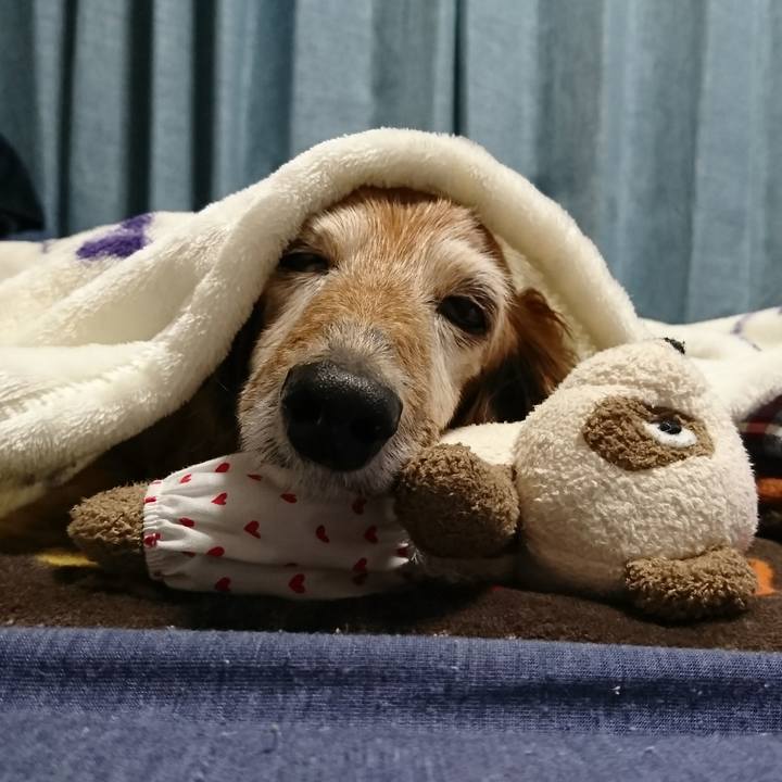 866bc18c ab99 4872 9ced 0dfc67b2353e 1518307033635