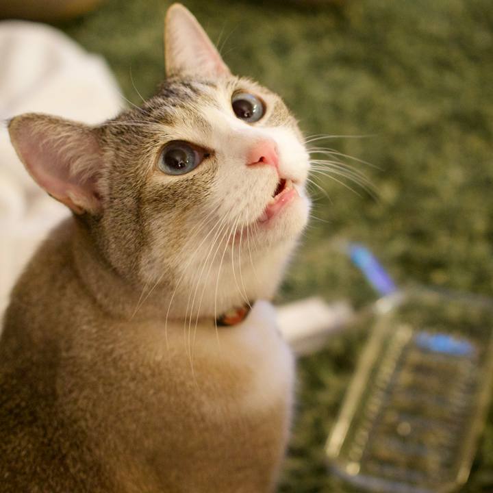 866c185f 80d3 41fa 85ae 4dfd9b5b7ddc 1657285516009