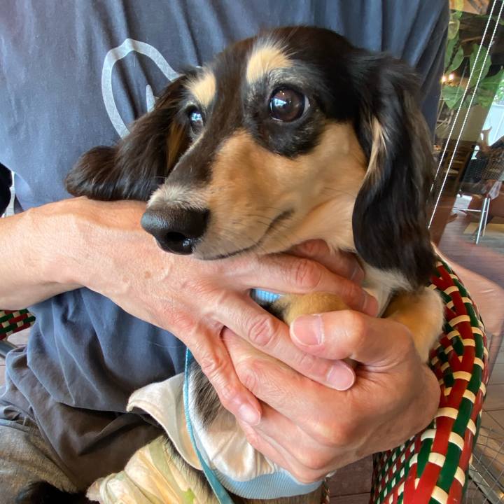 866c1b43 56f5 4730 8716 fd0bf6b694ad 1687651577260