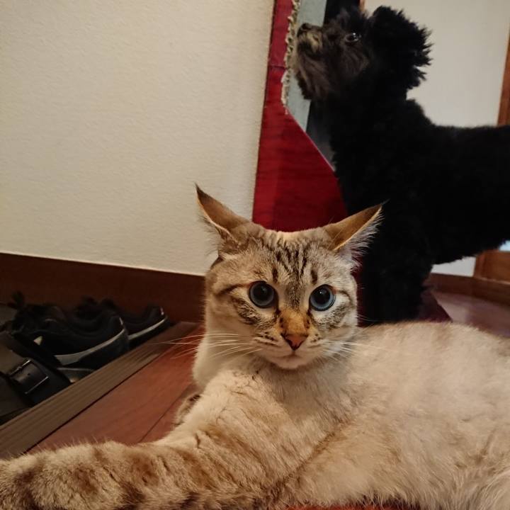 866c650a 6242 4fe1 9a09 b1e40b2778c3 1598095132468