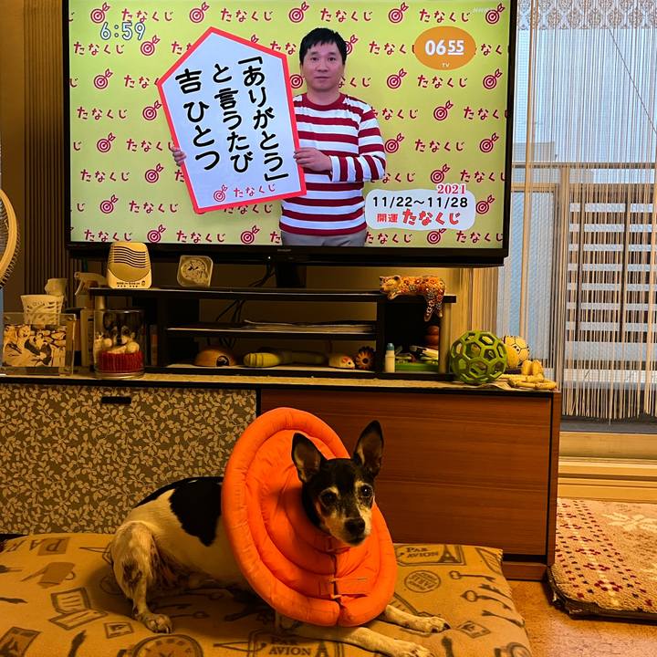 866c7a6a 4d0e 4f6b 8b43 feaa0eaacfcd 1637532485558