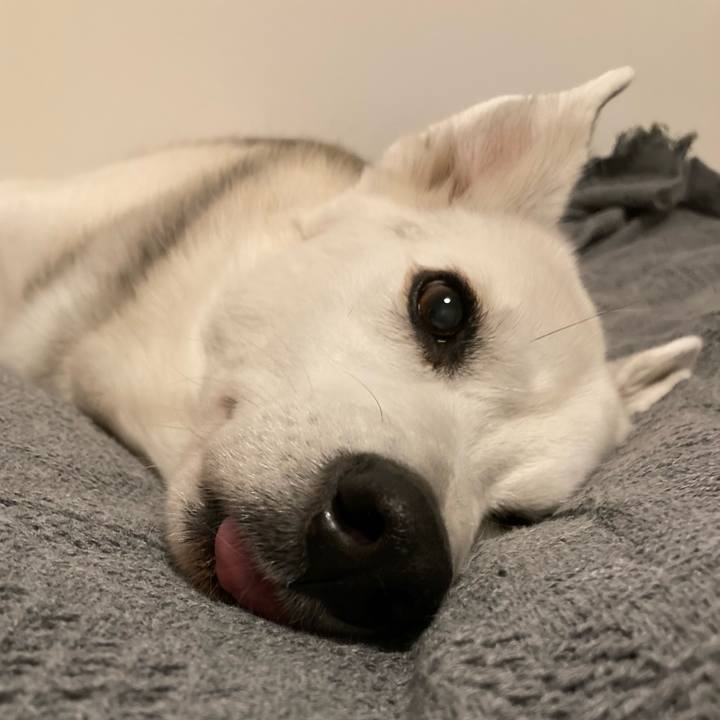 866c862a d80e 42e7 b741 12ca17826aee 1735726908321