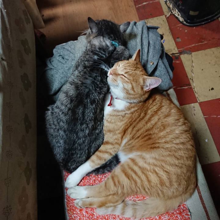 866cb2fc dda6 41a3 9215 8419320f5a07 1576231520024