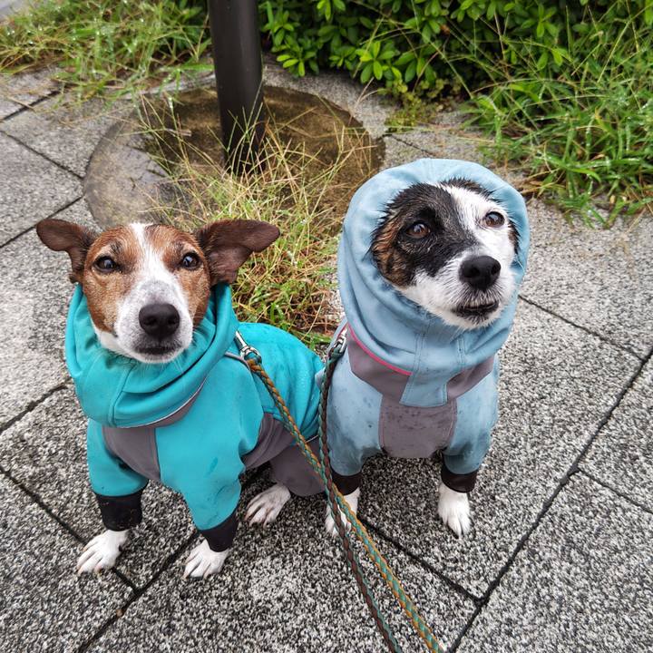 866cb5f1 f501 4be6 a98d 782636d02037 1728338387166