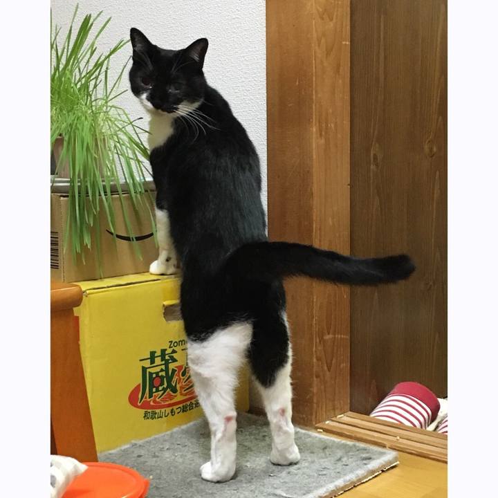 866cde39 17e6 455b a9e4 ce5626ba16a9 1539159767924