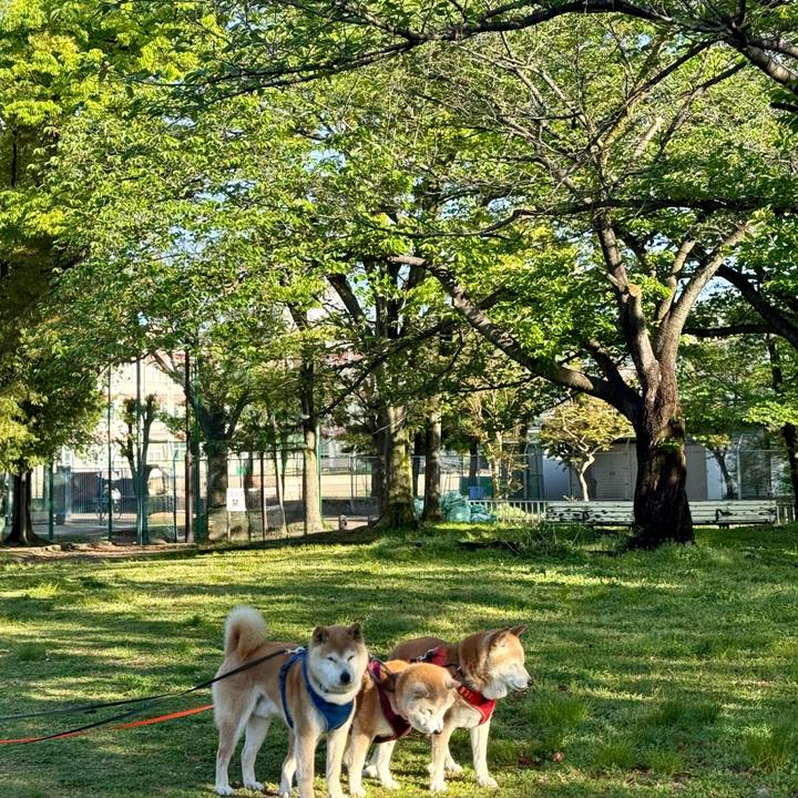 866cfb4a 9410 466b a076 498a7a2801c1 1776353145385