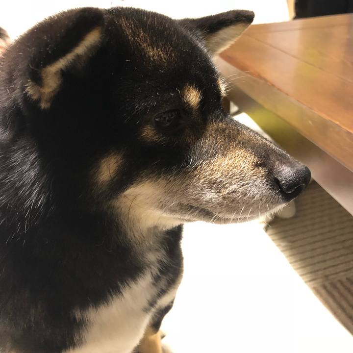 866d2dbb cdde 45ef 92b6 122b132a9efb 1535021684622