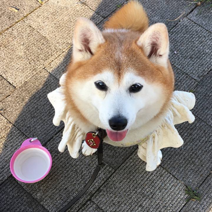 866da74c 2a6f 4c89 bffb 876c59b6b677 1553095992642