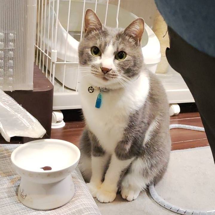 866df314 5de0 4e93 aac9 d1797e487af2 1706625698743