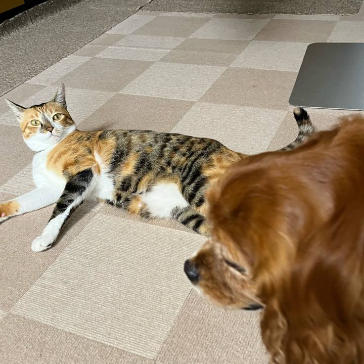 866e5934 2a6f 4b8b 97c7 9e30f2abe3c3 1721776441956