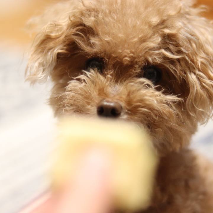 866e666a 508d 47cc a3ad 9fc8b8db21ef 1562767237674