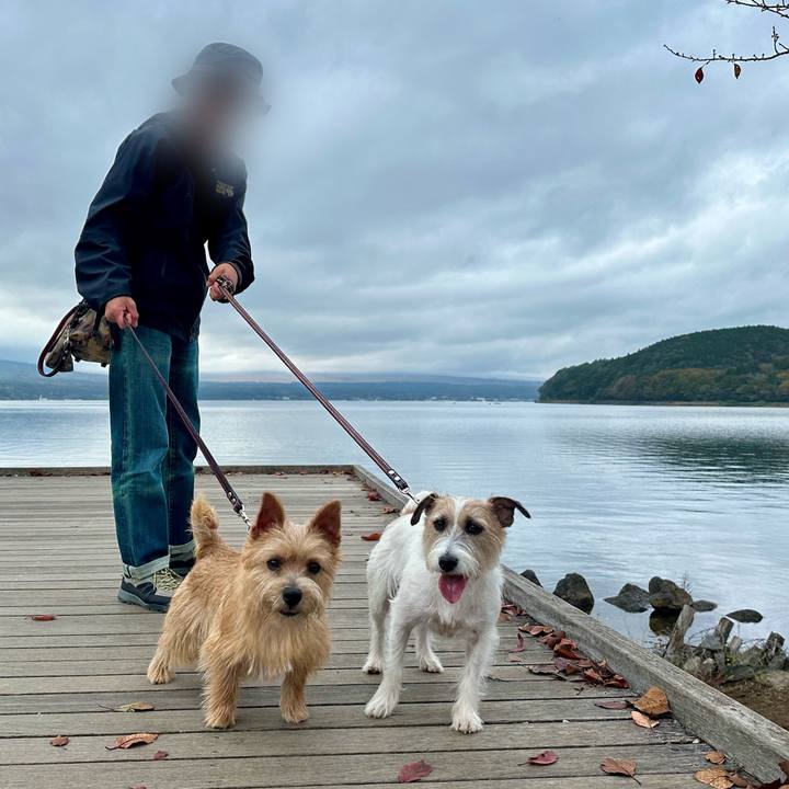 866e83db d1a3 43ac 9893 885c4eb8df0a 1730041177283