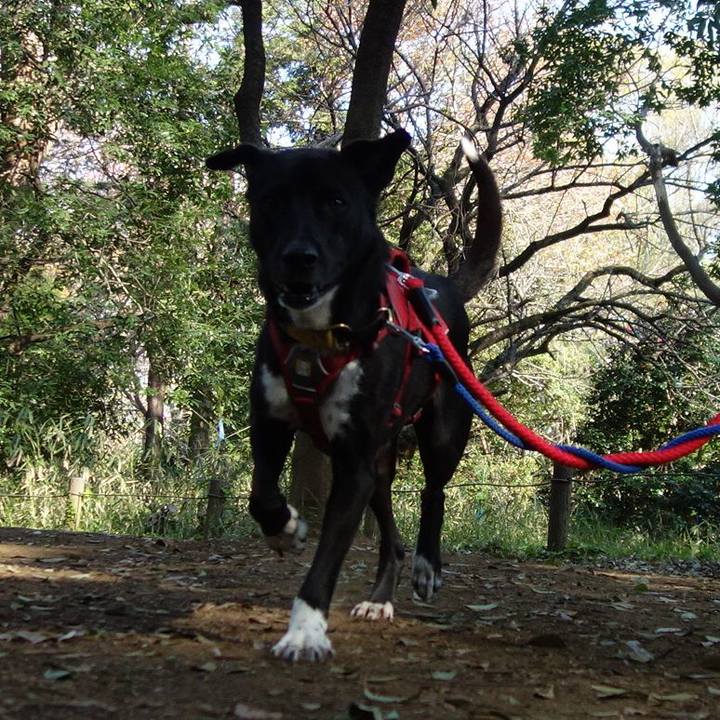 866e8755 a815 423f 84c3 88a0d1975449 1586398462712