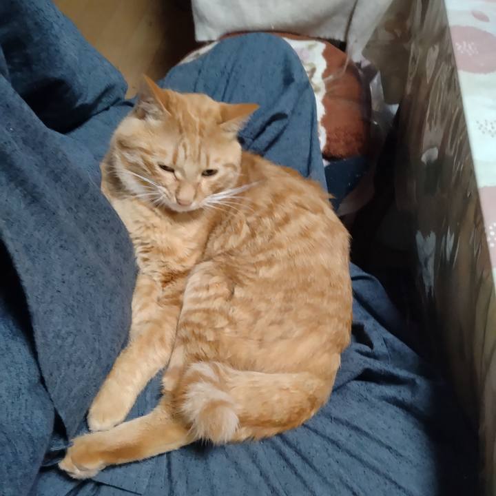 866efcc2 e7c2 45f1 818f 8eddd1504c03 1666090168088