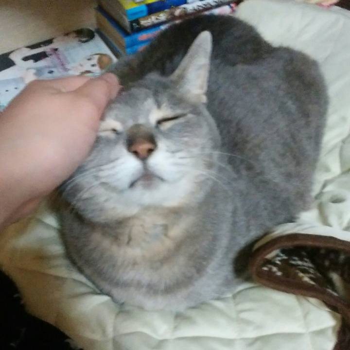 866f1821 935a 41de 9bb1 4f120fc082f1 1587644242383