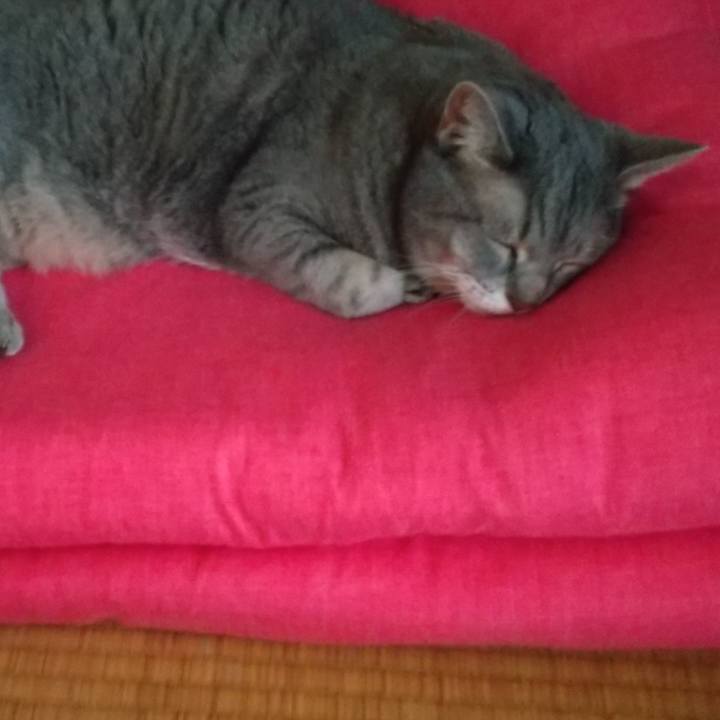 866f25af 3732 4c47 a43d 3f94ce98cb35 1633934160157