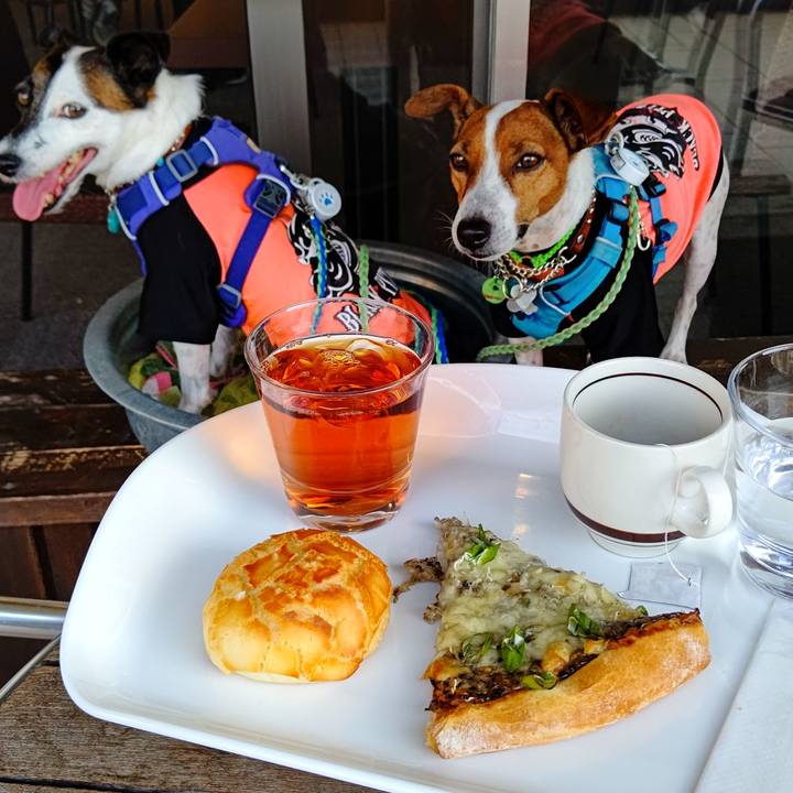 866f36da 9cc2 4fdb b392 6d6099df9e95 1633415601633