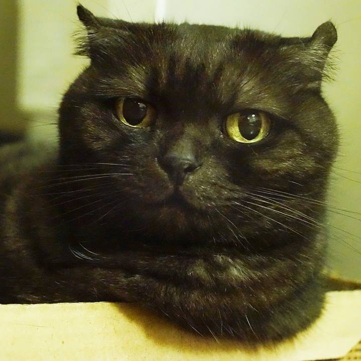 866f69d9 27c1 4324 a060 b55f96f8e6e2 1567270946190