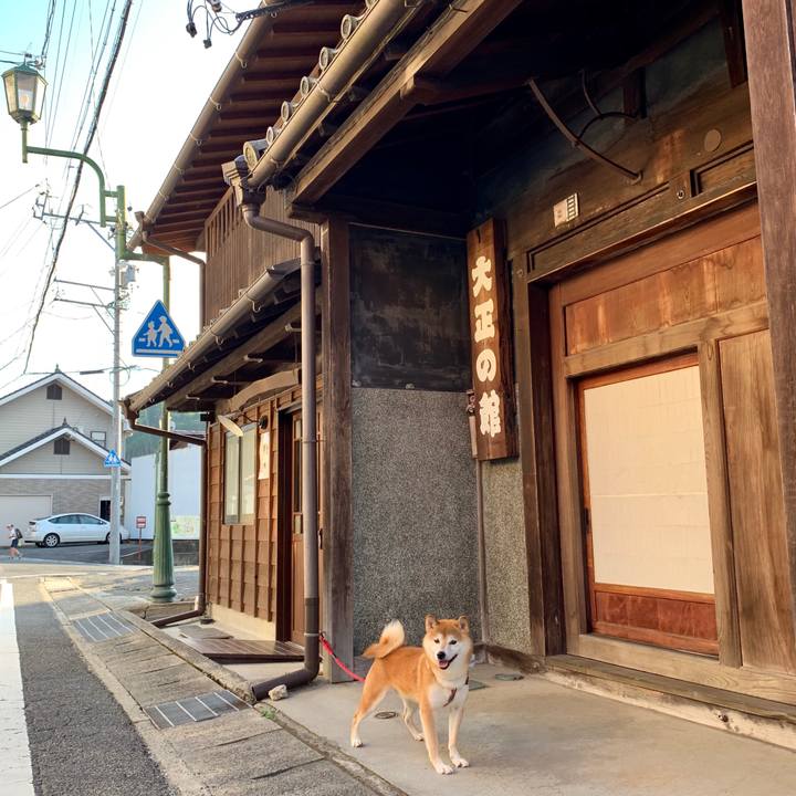 866f7880 fd34 4249 8ecb d94b6758acd8 1569586810961