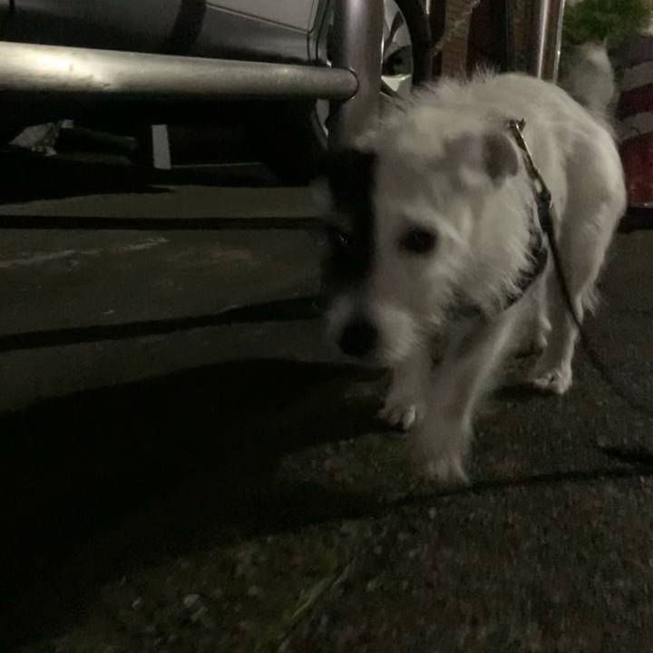 866f88cb c27d 45b9 aa79 9fc257a057b0 1718455065292