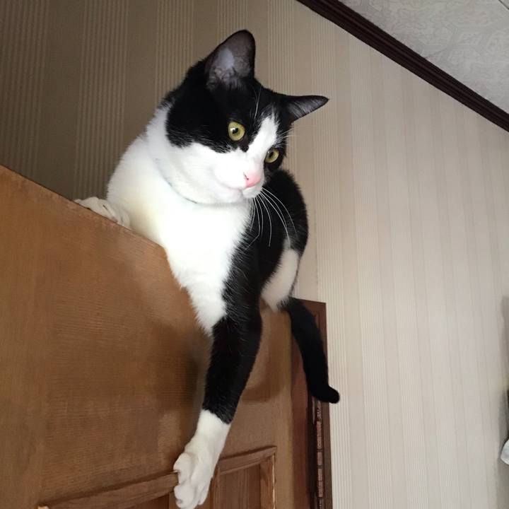 866f903c e9df 4cca b94a dcb0c598a33c 1712820593324