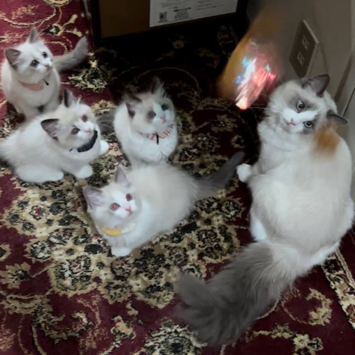 866fd534 9ca6 4a89 a093 11ec26d2ef30 1652967277522