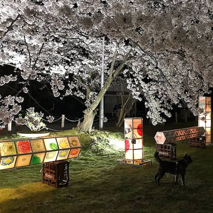 866ff253 0130 4568 854d 23a7d109d44e 1523406699527