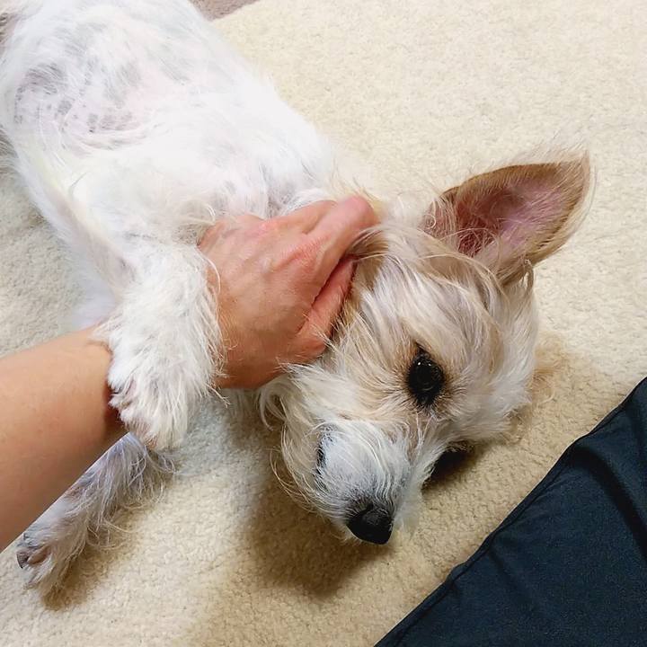 86700b5c e2b4 45bd a18c 3bab1f37837e 1683577887103