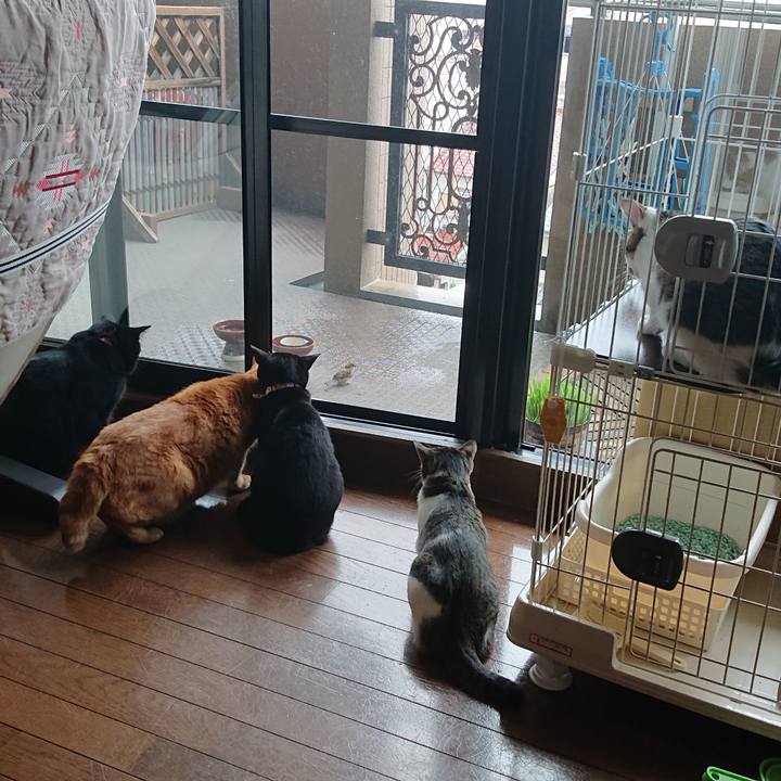 86703f6e 5fb3 49bd a3fa aa84d6f33937 1558395003179