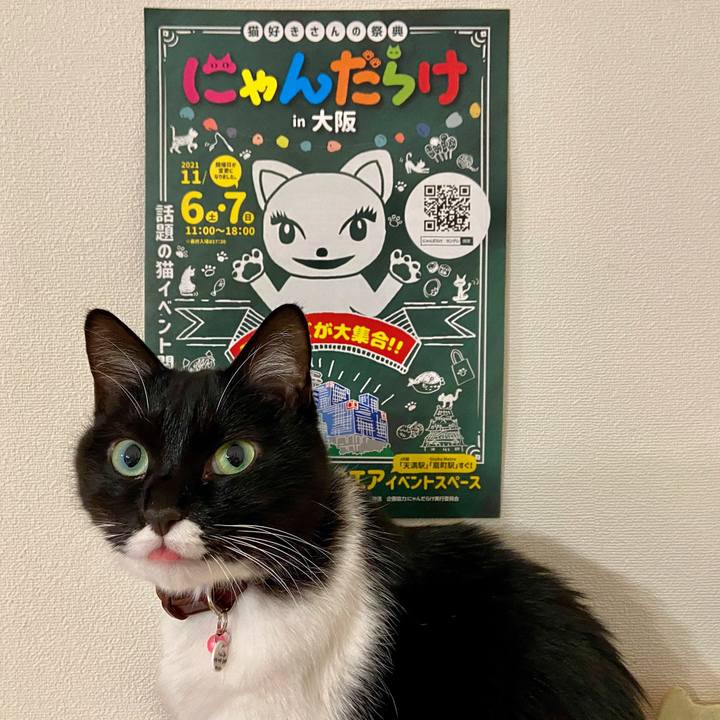 8670616e 05fe 41c3 a7fa 6e7f59252d31 1635694320060