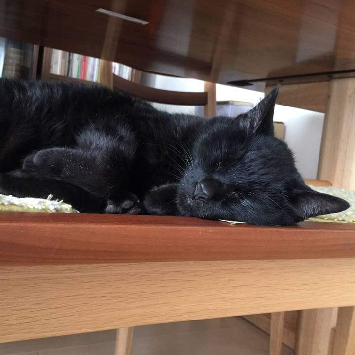 8670a90d f764 487c a488 0154b54415c1 1519197495193