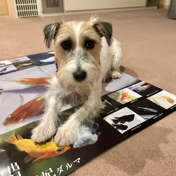 8670b458 fc91 4232 91da df2558c593ff 1697207309288