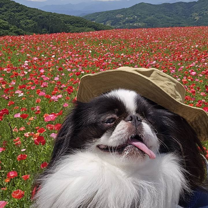 8670b4dc 3439 4031 b793 9c3a1951e63c 1685018019988