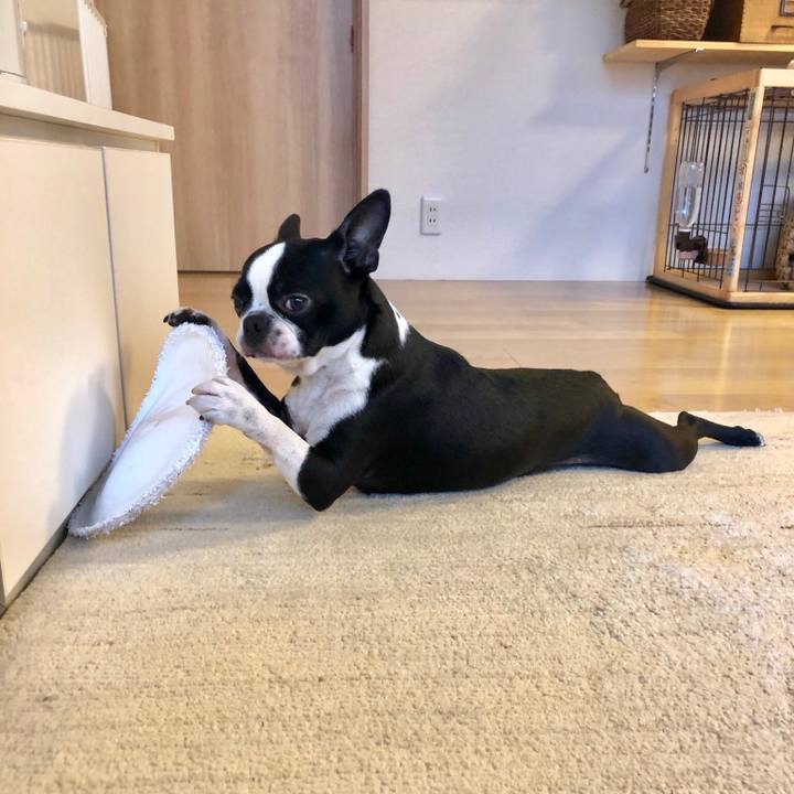 867123fc 4cda 4d6f acfb 64afbde55b67 1553210596146