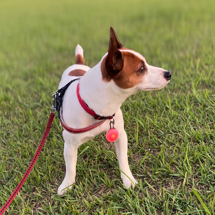 8671cdaa 7875 407d bcf2 5dbff21a08fe 1597420910811