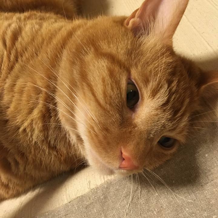 8671e6b0 b1b1 4c6f bcf7 17efc68f8ae7 1531533097020