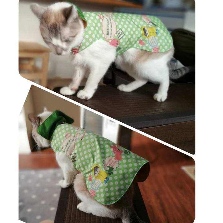 8671f5de 8b5b 460c 845a c1ef78c11b4f 1548926099212