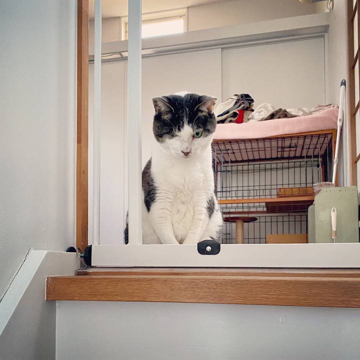 86723c6c 37b7 4ffc 9d30 8bc1793d0489 1585213841592