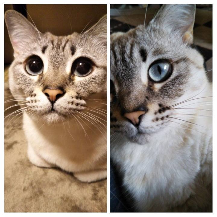 86725f83 8cf1 4fdd 9c02 973da920c9f8 1549610981479