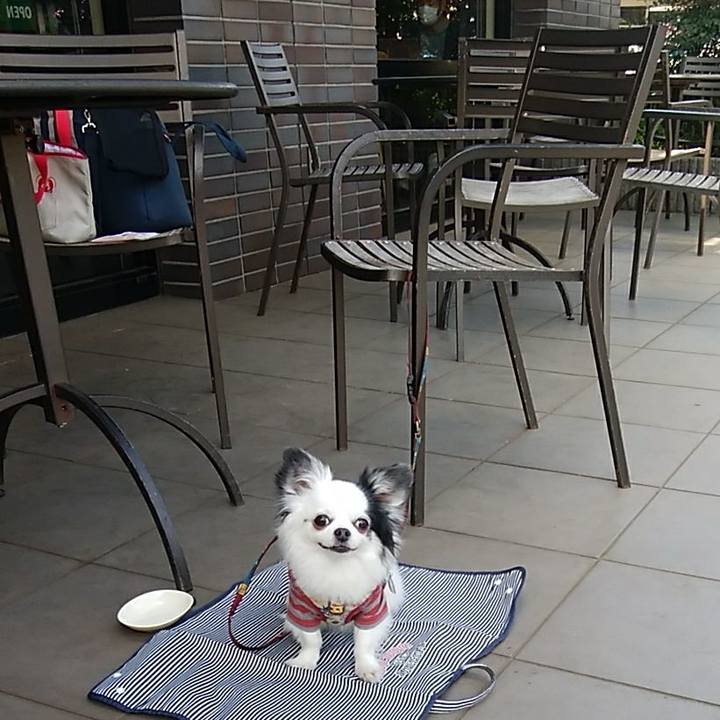 86727762 03bd 4fe8 88ef 5ecbab88bdb7 1554545357302