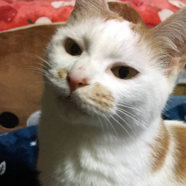 8672f423 dcfa 4c9b b6ba 089ec035a1a4 1544048885925