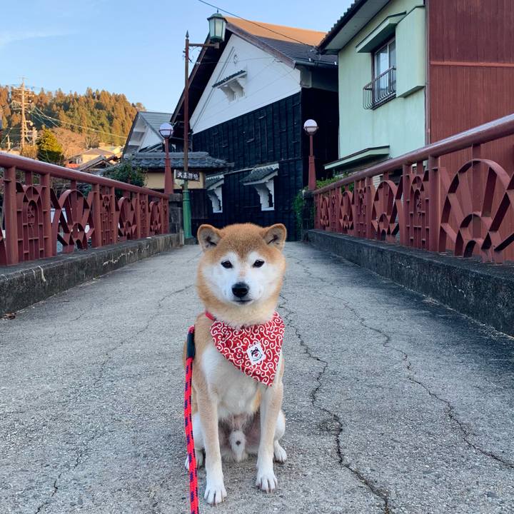 8672fddf 27eb 4eae 8dab 98801302a595 1641802359089