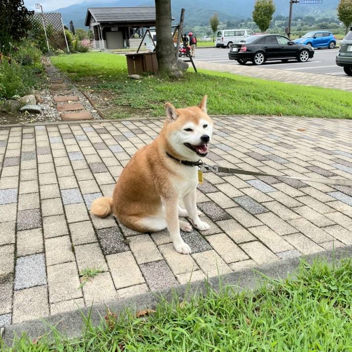 86733731 0762 4198 aea6 ecb6793d1bd7 1631324070232